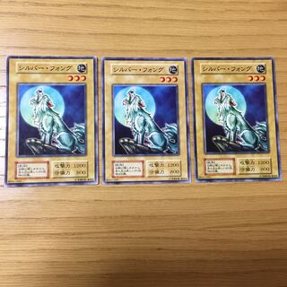 シルバー・フォング 3点セット