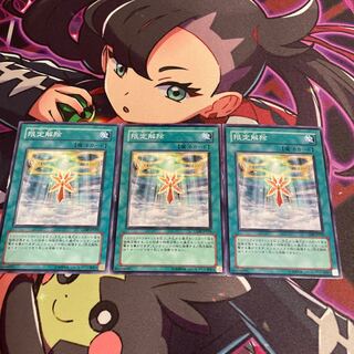 限定解除 ノーマル JP039 1枚