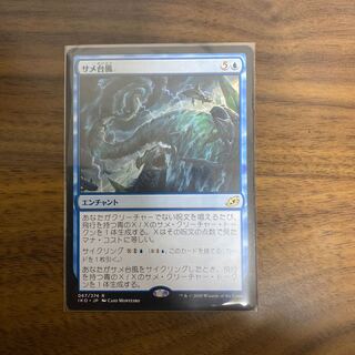 サメ台風　日本語