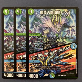 運命の親衛隊シウバ｜「その運命、我らもそれに従おう」