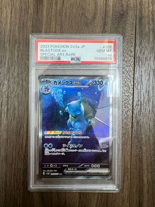 Blastoiseex SAR 202/165