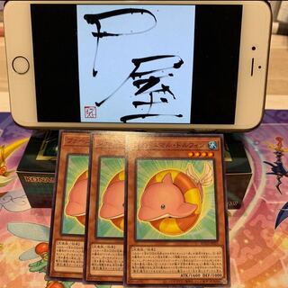 No.19  P屋　ファーニマル・ドルフィン【ノーマル】