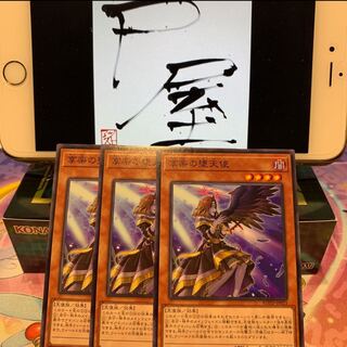 No.22  P屋　享楽の堕天使 N×3