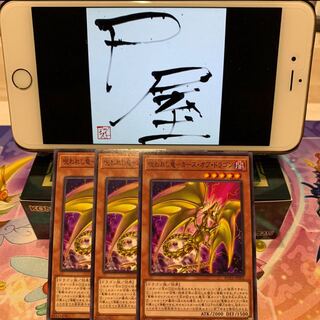 No.23   P屋　呪われし竜-カース・オブ・ドラゴン(N)