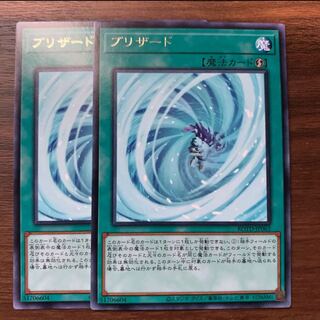 No.30  P屋　ブリザード R