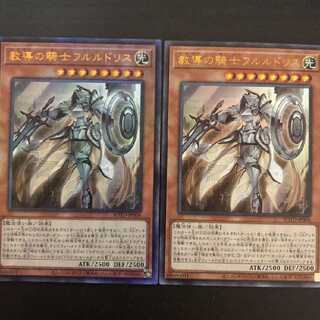 教導の騎士フルルドリス  二枚