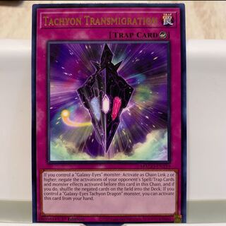 No.69  P屋　タキオン・トランスミグレイション【ゴールドレターレア】