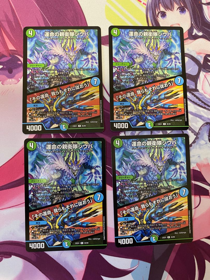 Shiba, the SS of Fate｜"Its fate, we shall follow it" R 45/84 4 2