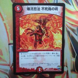 爆流忍法 不死鳥の術