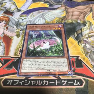 【ねこもり】最安値！！早い者勝ち！！未界域のツチノコ ノーマルパラレルレア(ノーパラ) 1枚　SR13 管理番号8989