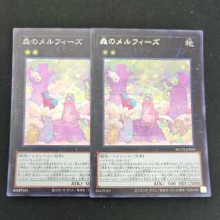 CST725 Melffy of the Forest SR,SE