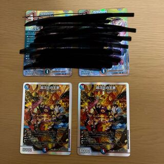 超次元の王家 SR S13/S15