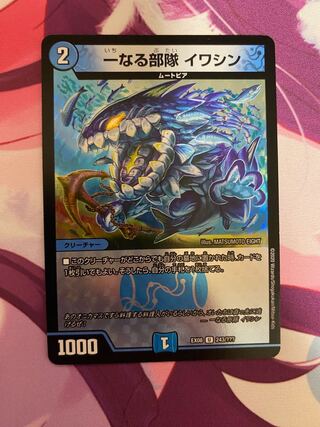 1) Unit 1: Iwashin U-foil 243/???? 2) 1枚