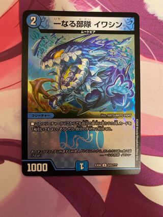 1) Unit: Iwashin U-foil 243/???? (3) 1枚