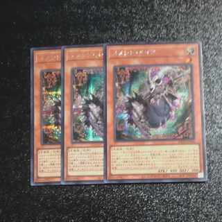 Memento Rosa's Secret Rare JP006✕3 [Korindo].