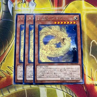 【セール】天威龍 アシュナ