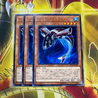 【セール】カッター・シャーク