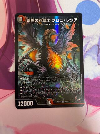 Darkness Grudge Grass Warrior Croyle Lecia SR S8/S15