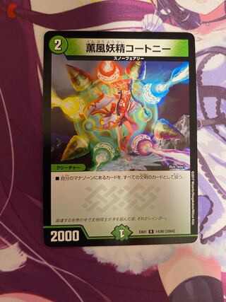 Kaorukaze fairy Courtney R 14/80 [2004].