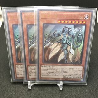 教導の騎士フルルドリス