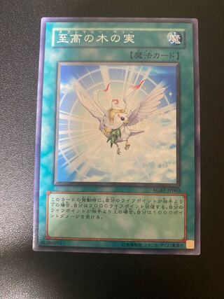 至高の木の実 ノーマルレア JP060