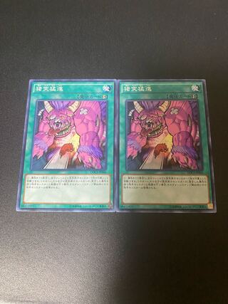 猪突猛進 ノーマルレア JP066