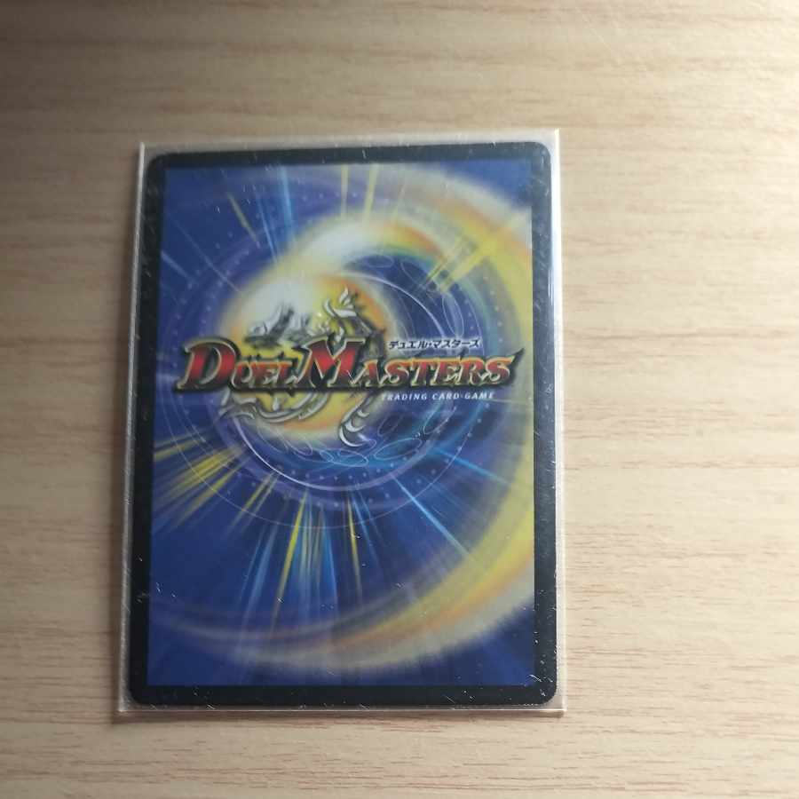 英知と追撃の宝剣 SR S3/S5