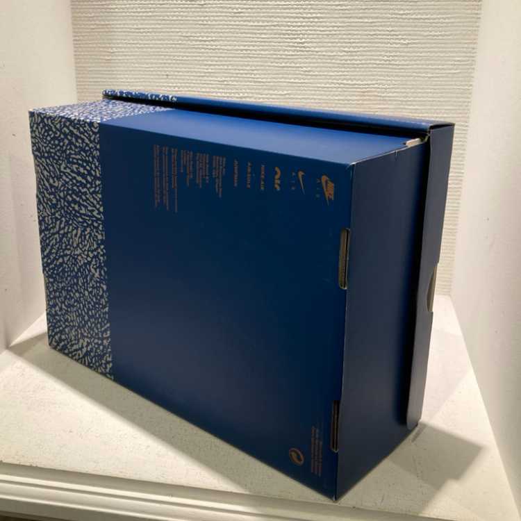 Nike Air Jordan 3 Retro "Wizards" Ho Wight/True Snubbull 26.5cm