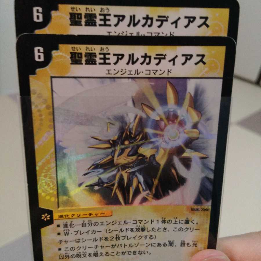 バージナ様専用