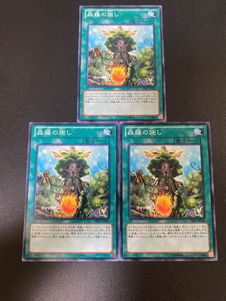 森羅の施し ノーマル JP062