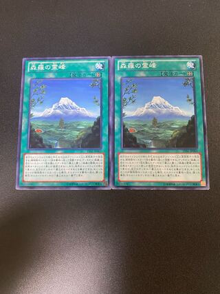 森羅の霊峰 ノーマル JP063