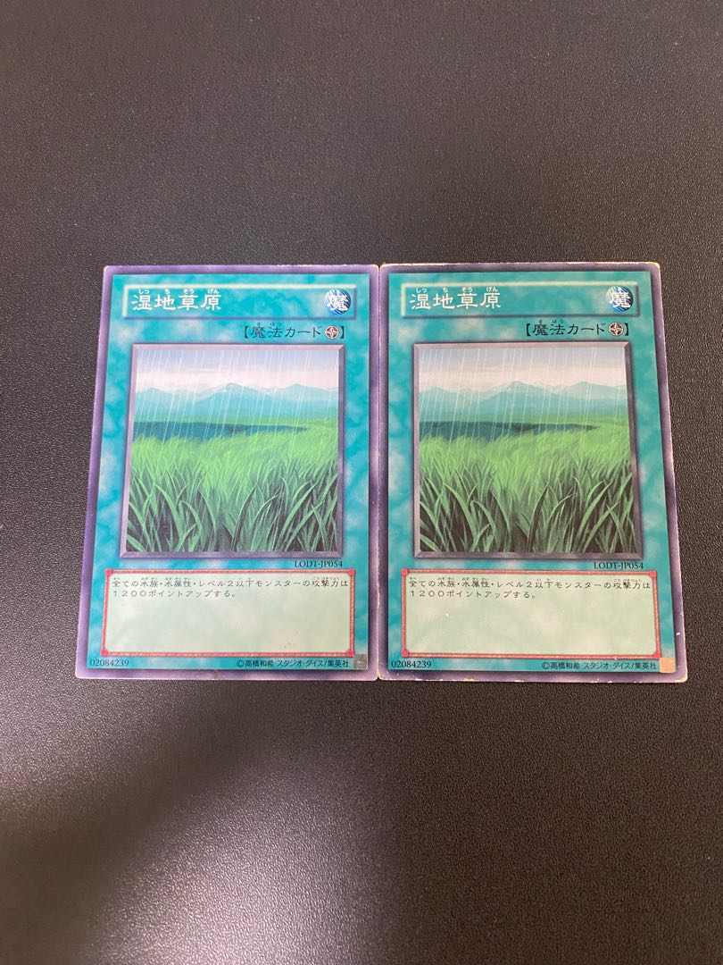 湿地草原 ノーマル JP054