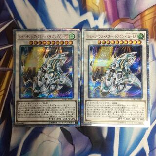 シューティング・スター・ドラゴン・TG-EX 20th 2枚【39177-37】