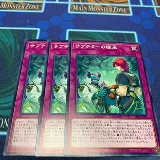 Subterror Succession