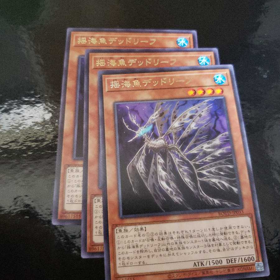 揺海魚デッドリーフ R