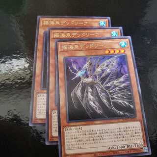 揺海魚デッドリーフ R