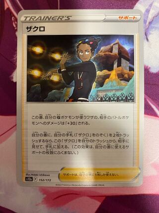 garlic chive (Allium tuberosum)