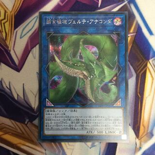 捕食植物ヴェルテ・アナコンダ シークレットレア【39183-37】