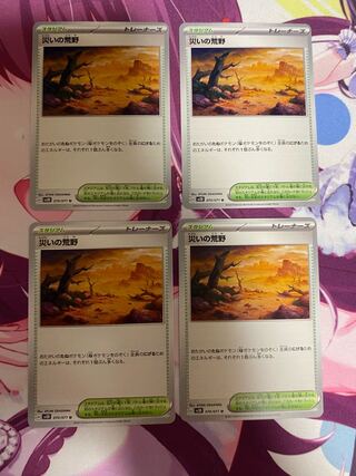 Wasteland of Disaster U 070/071 4 sheets 2)