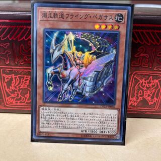 No.107  P屋　爆走軌道フライング･ペガサス【スーパー】