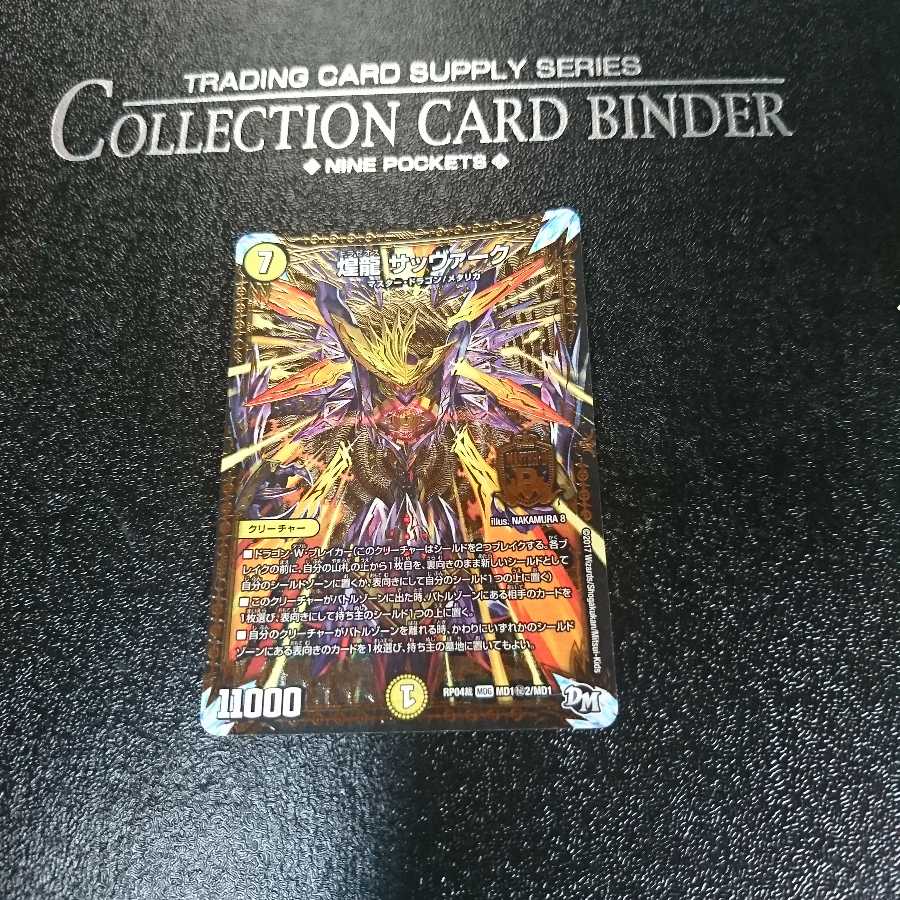 煌龍 サッヴァーク