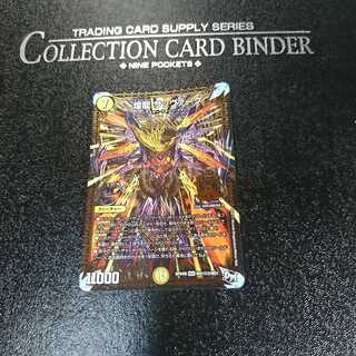 煌龍 サッヴァーク