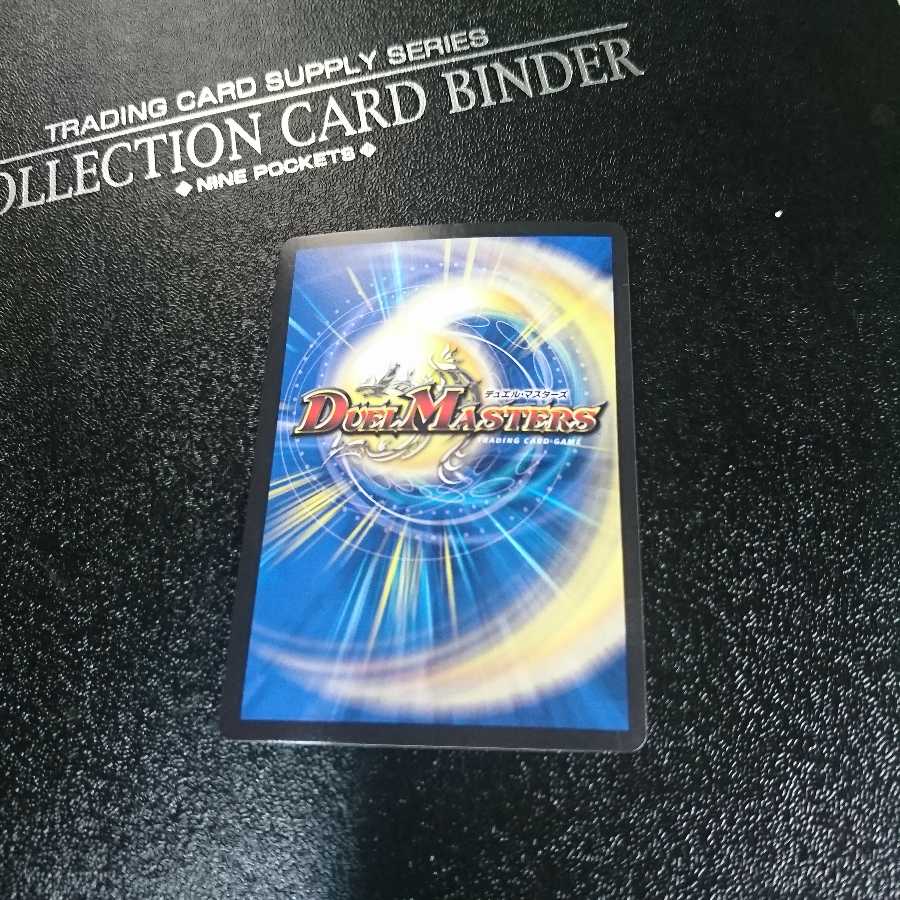 煌龍 サッヴァーク