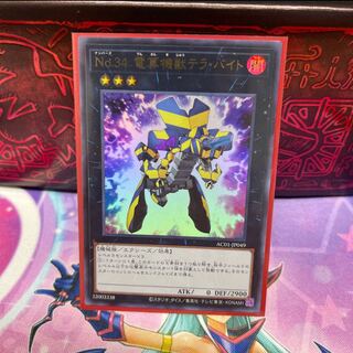 No.142  P屋　No.34 電算機獣テラ・バイト