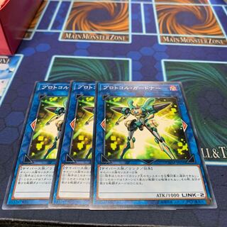 プロトコル・ガードナー