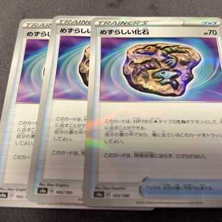 めずらしい化石 165/190