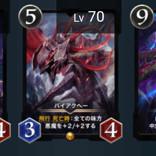 バイアクヘー（スピあり）