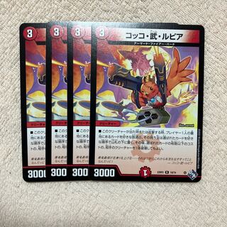 Cocco Bu Lupia R 19/74