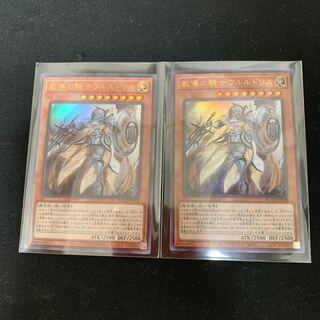 教導の騎士フルルドリス UR