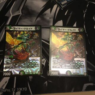 ライマー・ドルイド